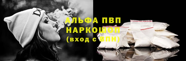 индика Лихославль
