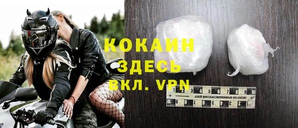 индика Лихославль