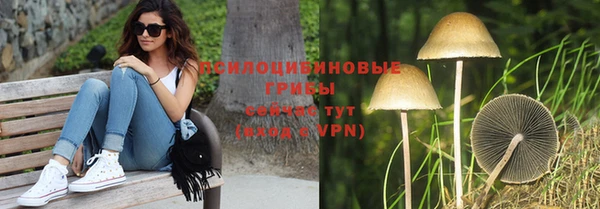 индика Лихославль