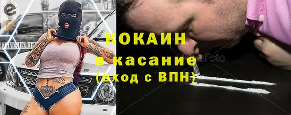 индика Лихославль