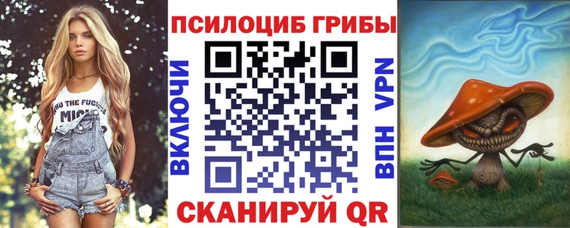 Псилоцибиновые грибы Psilocybe  Купить закладки  Моздок 